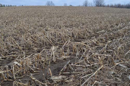 Property photo 38 - 98+/- Acres Offered in 6 Tracts or Combinations, Noble County, Indiana Farm